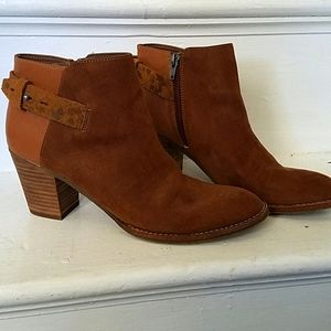Brown zip booties with buckle detailing